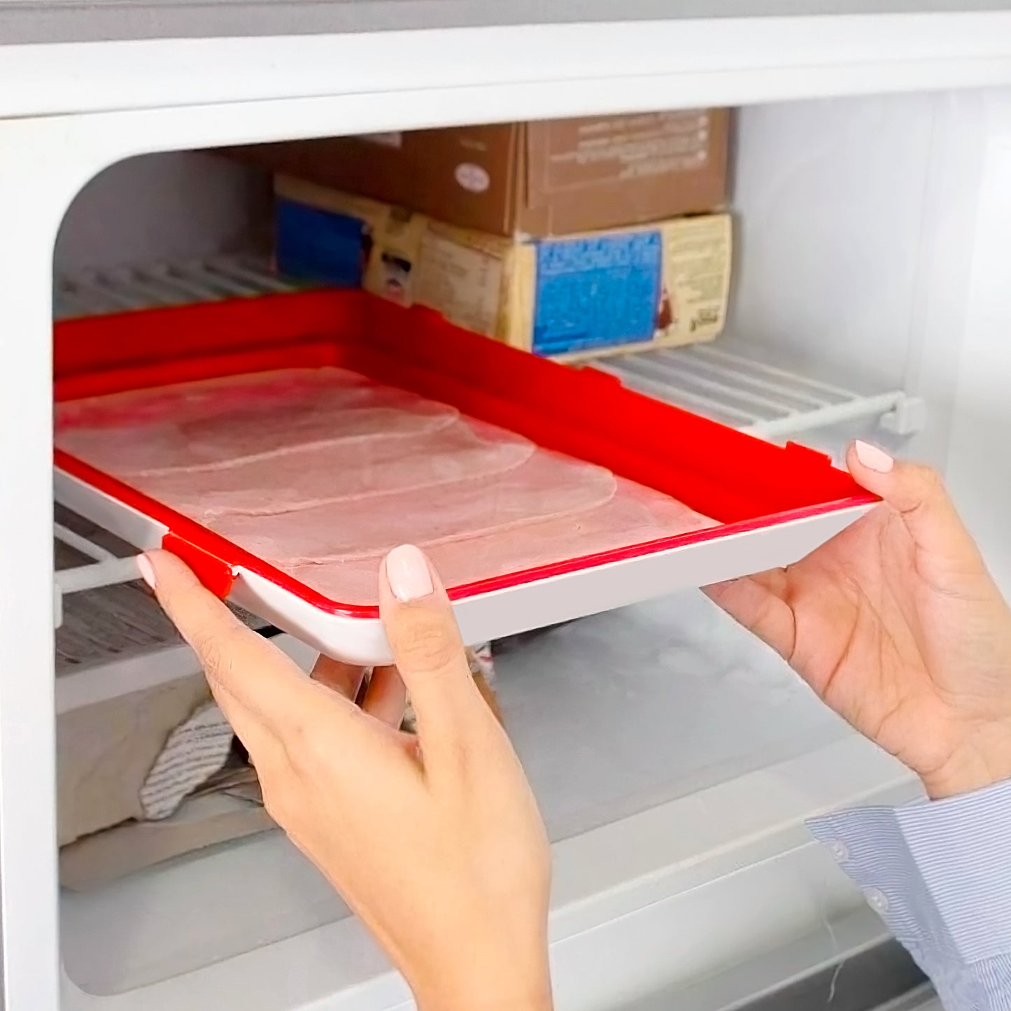 Food Preservation Tray