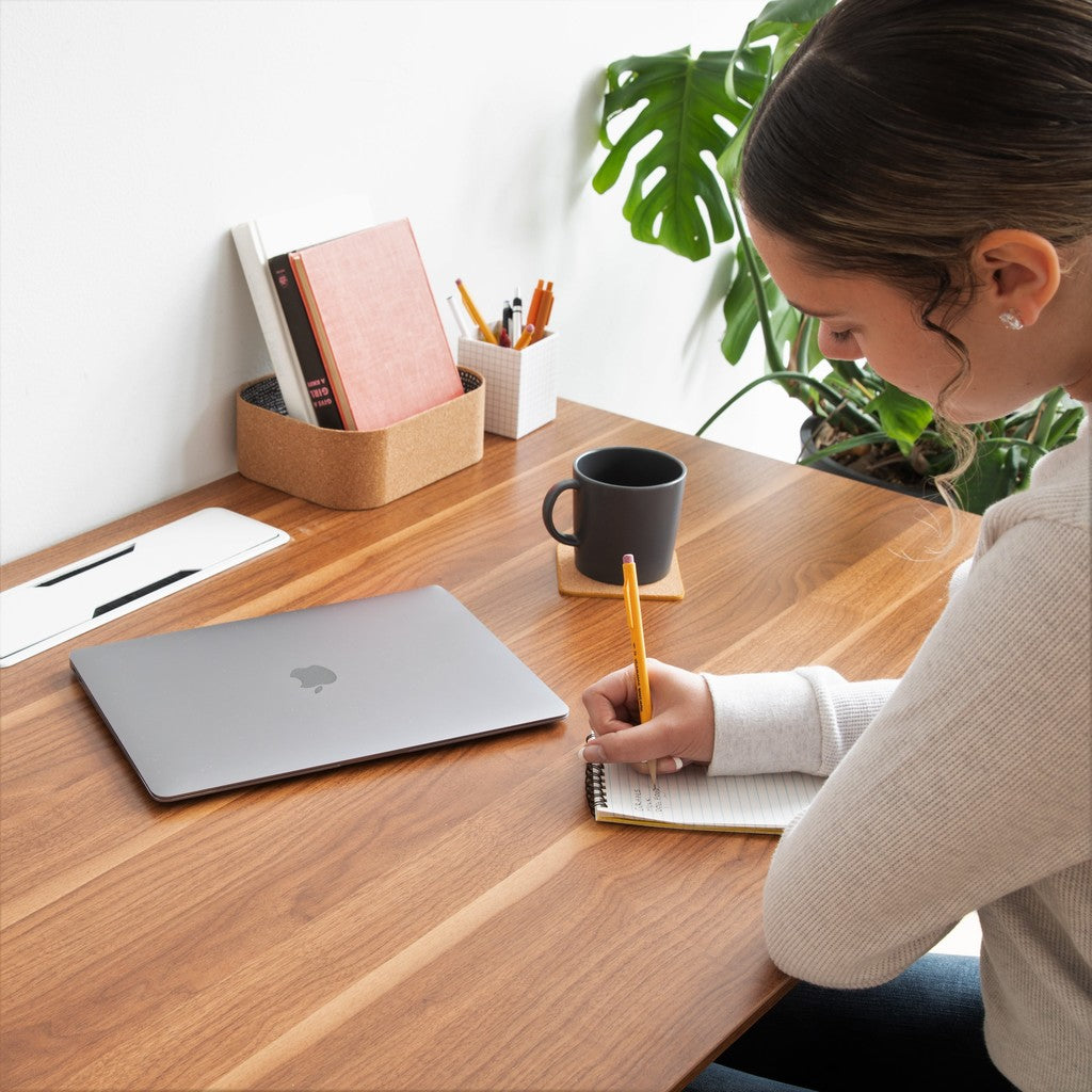 Flexi Lap Desk