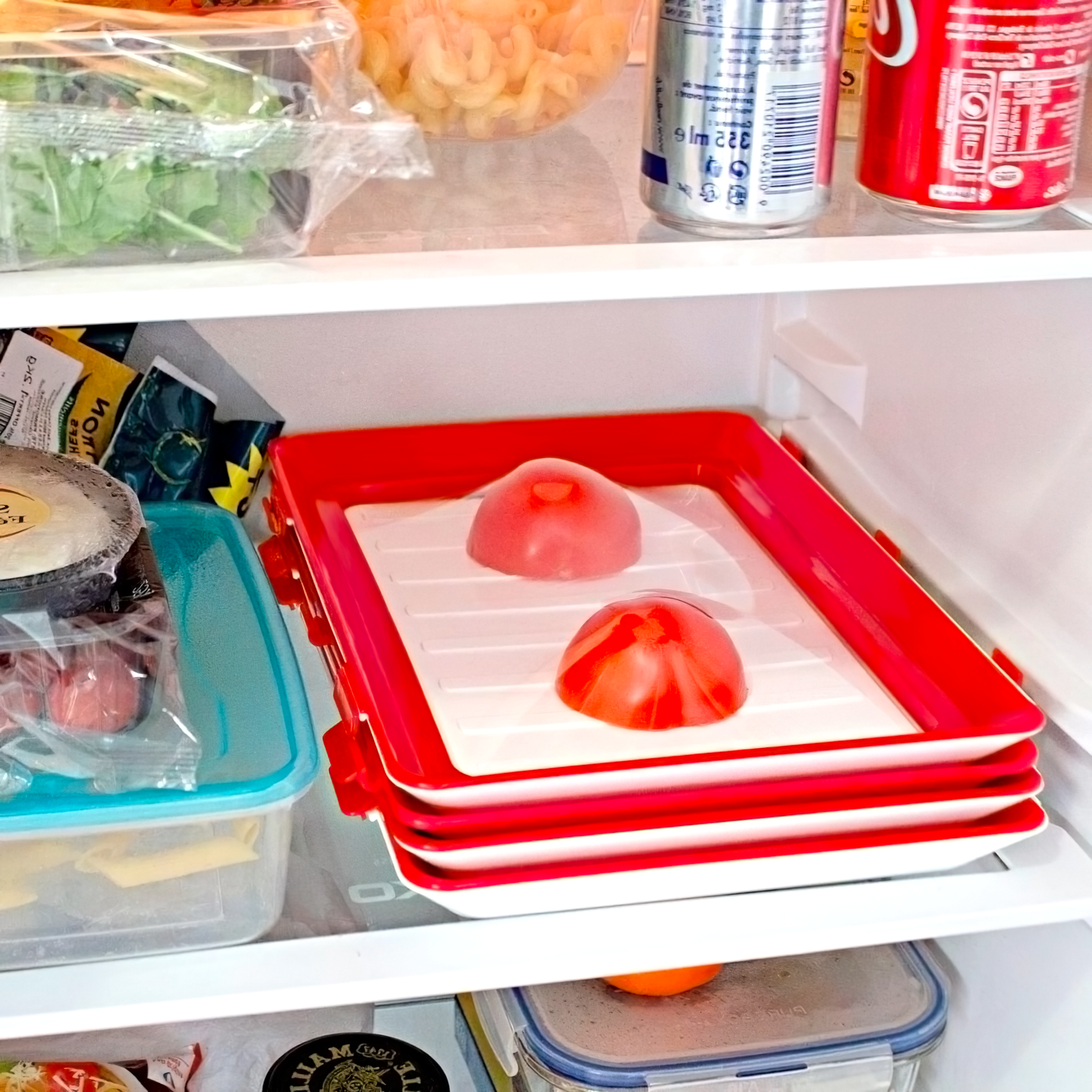 Food Preservation Tray